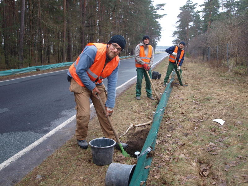 26 km Amphienzäune wurden aufgebaut