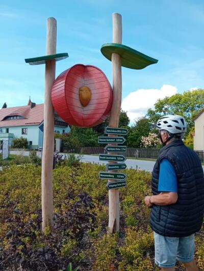 Die Kirsche zeigt in Groß Radisch Touristen den Weg