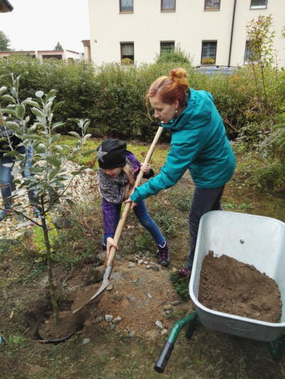 Aufruf zum Mitmachen: „Äpfel für alle Kinder“