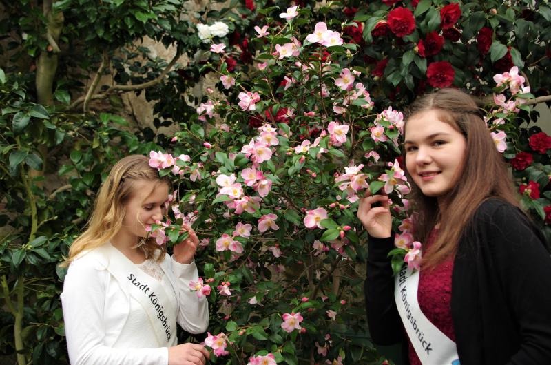 Königsbrücker Verein hält besondere Osterpräsente bereit