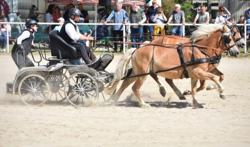 20. Oberlausitzer Fuhrmannstag in Kemnitz