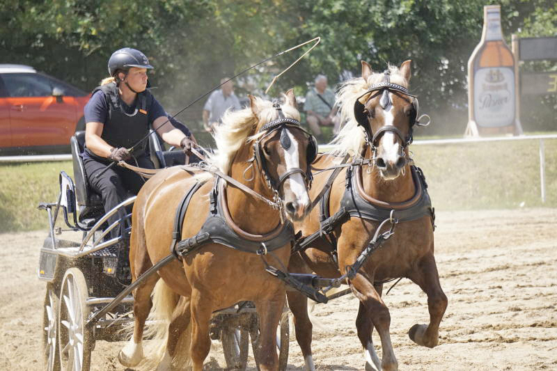 Oberlausitzer Fuhrmannstag in Kemnitz 