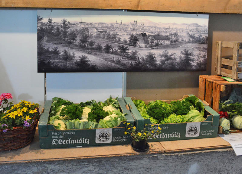 Ein Panorama der Zittauer Gartenbaugeschichte