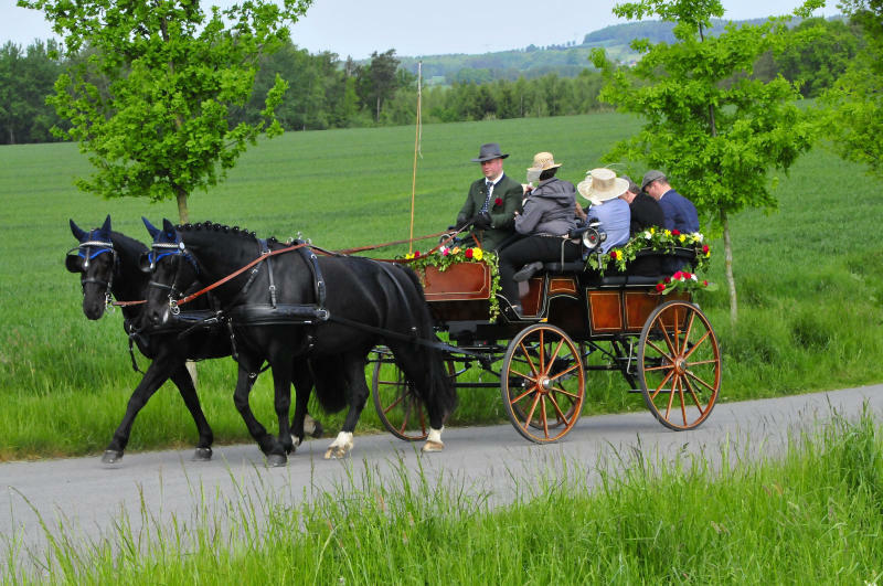 Anmelden zur Schlossrundfahrt