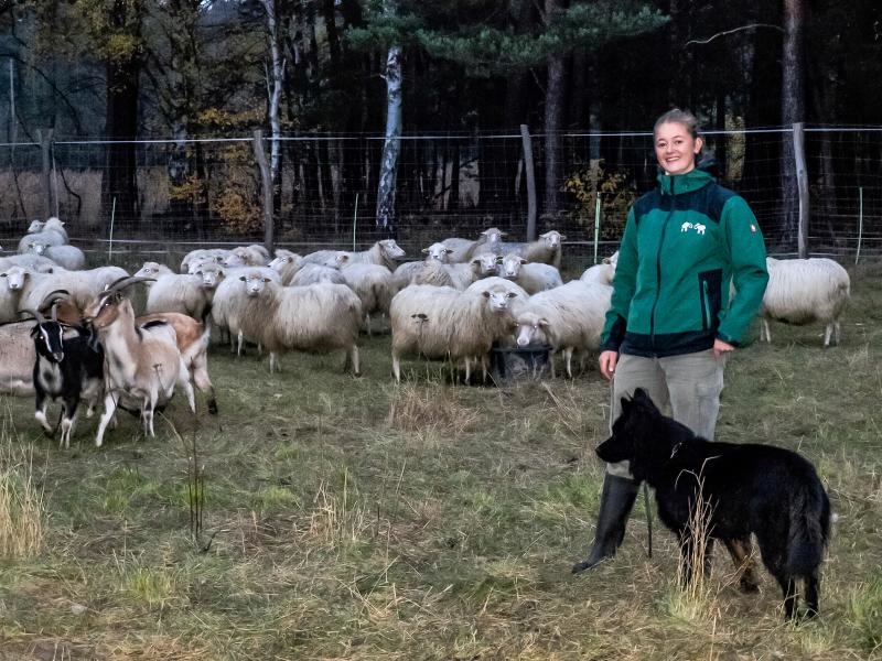 Lange Abende bei Arbeit in der Natur