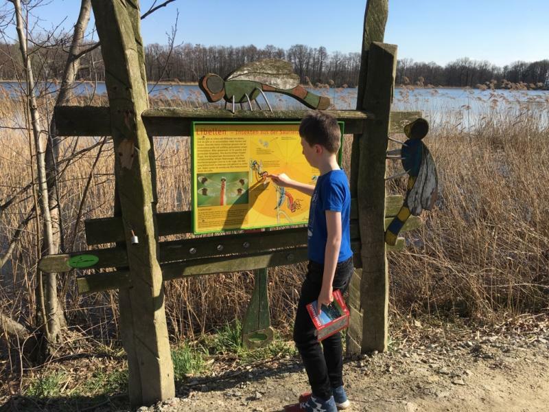 Umfangreiche Naturerlebnisse an den Guttauer Teichen