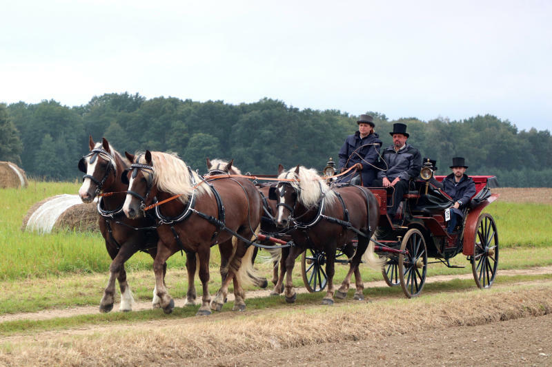 Mit historischen Gespannen durch Niederschlesiens Heide