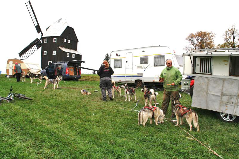 Schlittenhunde an der Kottmarsdorfer Bockwindmühle