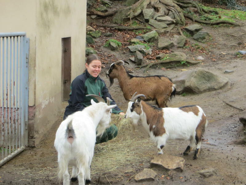 Oase für Tiere und Menschen im „Ziegenpark"