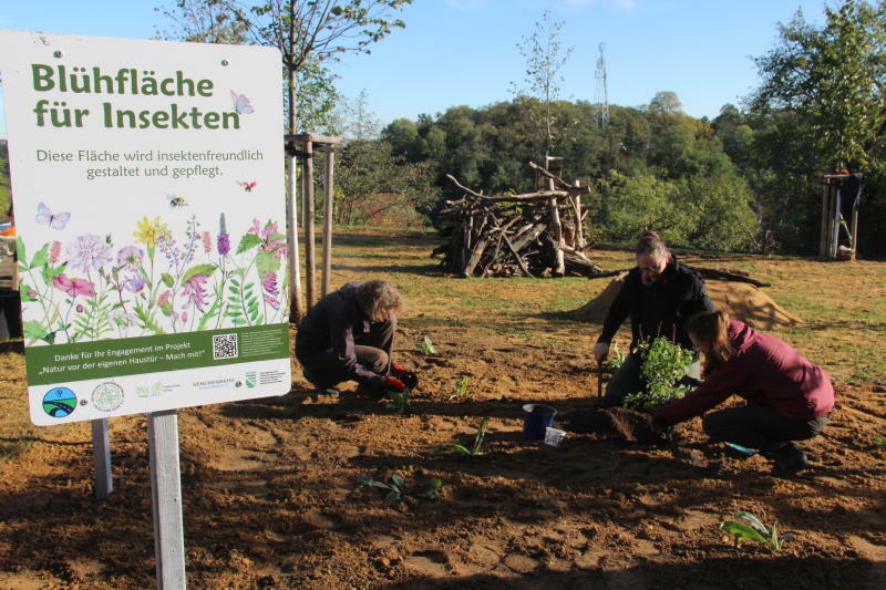 Imker haben in Bautzen auch die Wildbienen im Blick