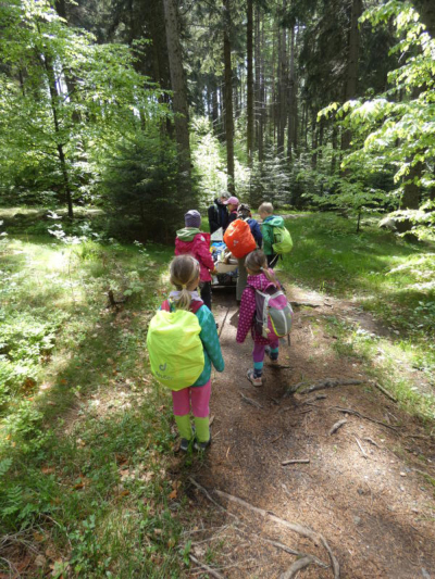 Helfen Sie mit! Umweltaktion im Zittauer Naturpark