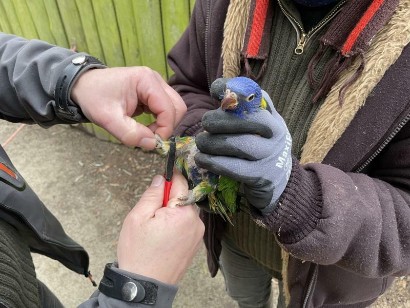 Tierpark Zittau: Bei den Trampeltieren geht es ganz schnell