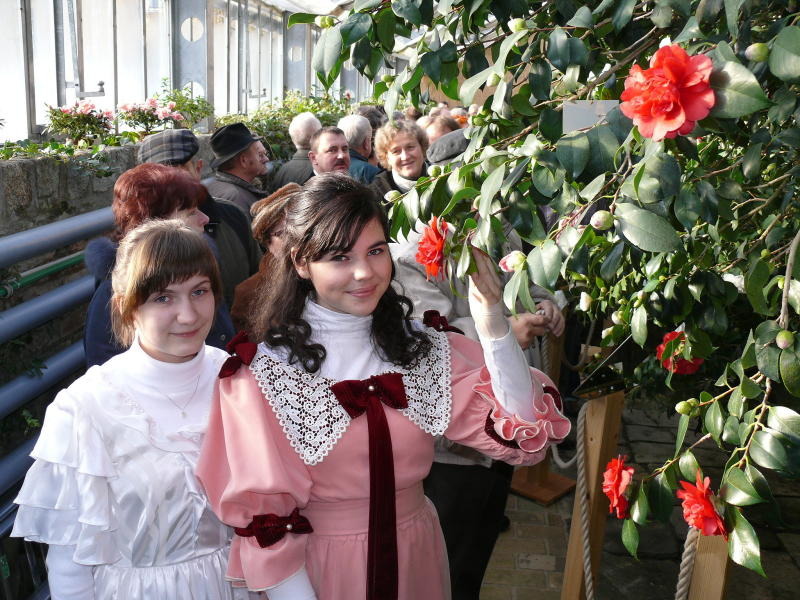 Kamelienblüte zum 19. Mal