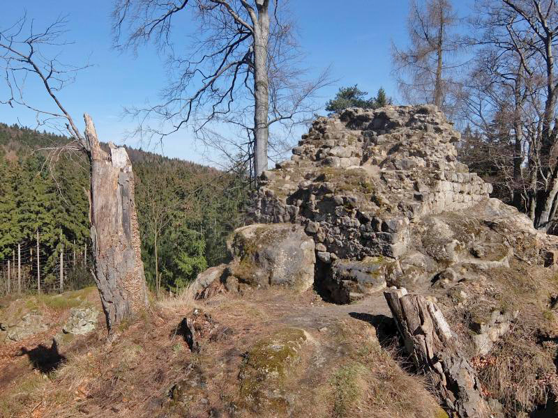 Arbeitseinsatz an der Burgruine Karlsfried