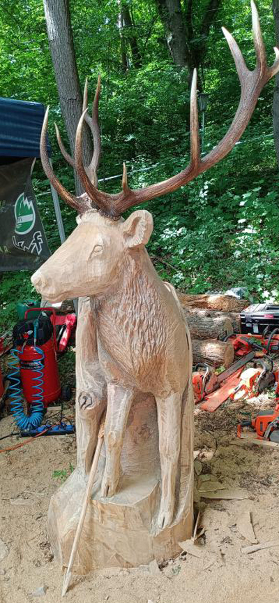 Schauschnitzen auf dem Eibauer Beckenberg