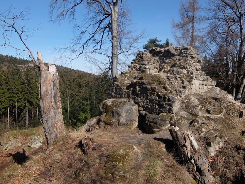 Arbeitseinsatz an der Burgruine Karlsfried