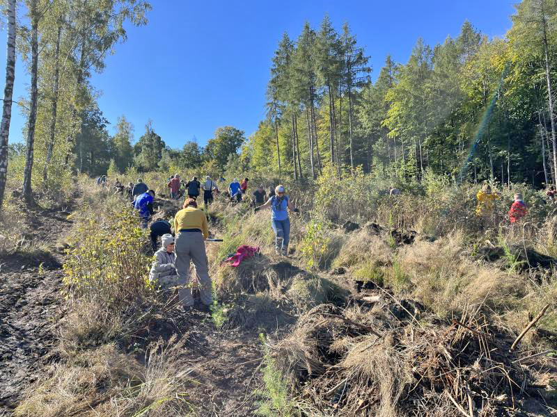 Königshainer Berge: Freiwillig im Dienst gegen Borkenkäfer