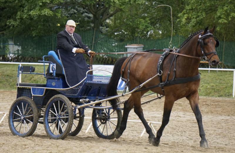 „Oberlausitzer Fuhrmannstag“ in Kemnitz 