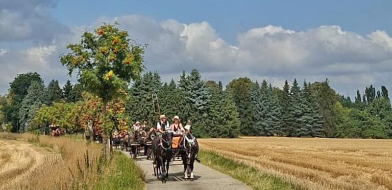Gespanne werden doppelt vorgestellt