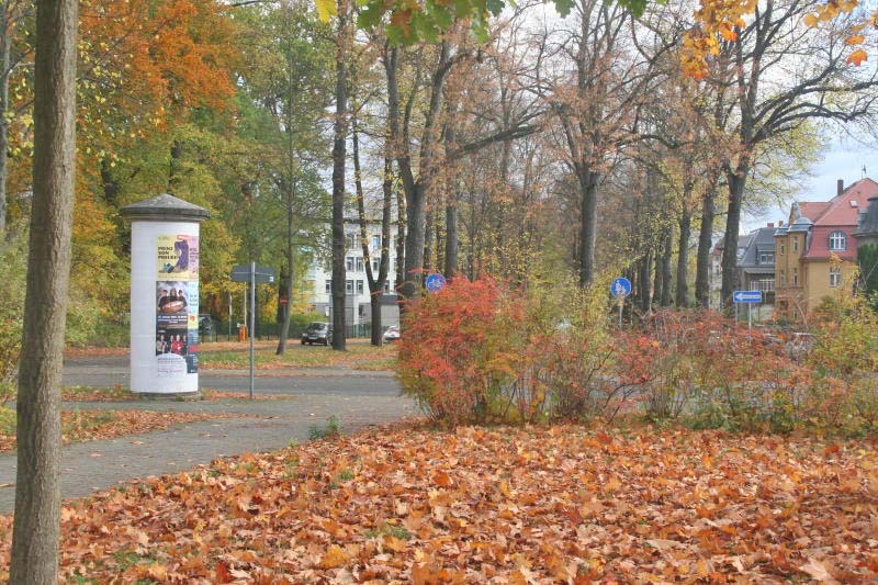 Jede Menge Laub hält die Stadt Zittau auf Trab