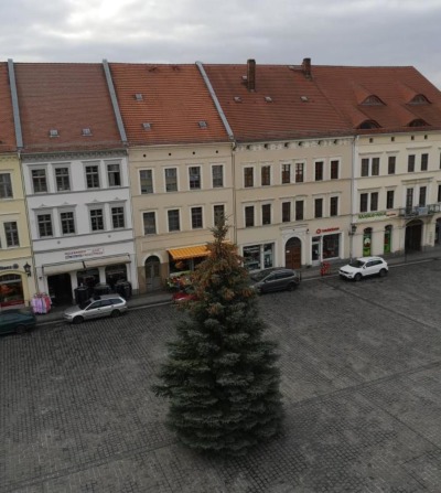 Löbau schmückt  Weihnachtsbaum