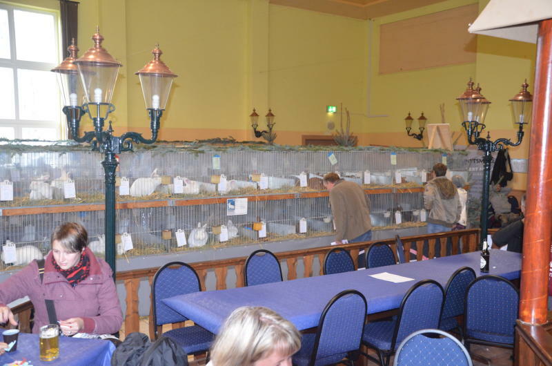 Lokalschau im Karli-Haus Seifhennersdorf 