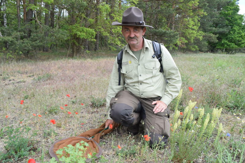 Mario Trampenau gibt Einblick in die Insektenwelt