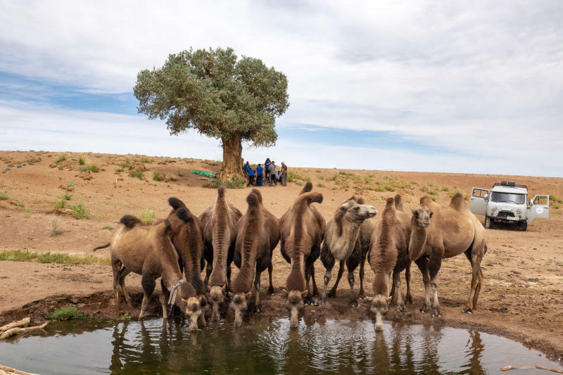 Vortrag im Humboldtsaal: An den Oasen der Wüste Gobi