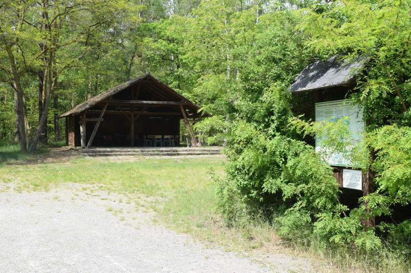 Drch die Frühlingsnatur der Niederschlesischen Oberlausitz