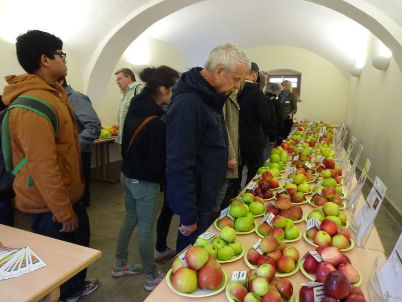 Obst- und Winzerfest im Kloster St. Marienthal 