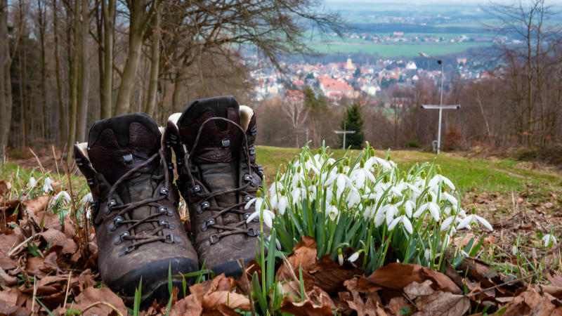 "Tolle Aussichten" zum 38. Elstraer Frühlingstest