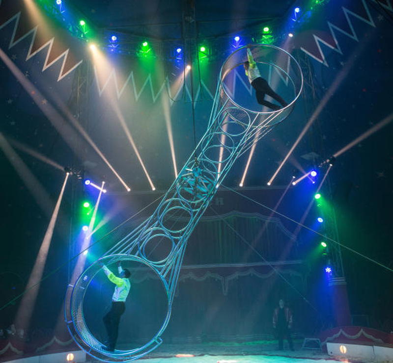 Der Zirkus kommt nach Löbau