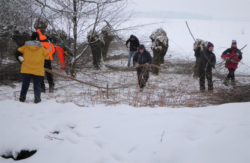 Umweltaktion: „Viele Hände – schnelles Ende