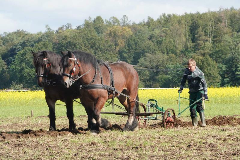 Oxer, Oktoberfest-Freibier und tiefe Äcker in Horka