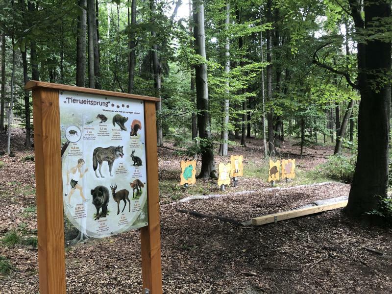 Wanderbarer Butterberg lädt zum Herbstspaziergang