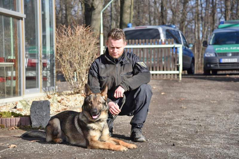 Fährtenhund Ivan spürt Seniorin in Löbau auf