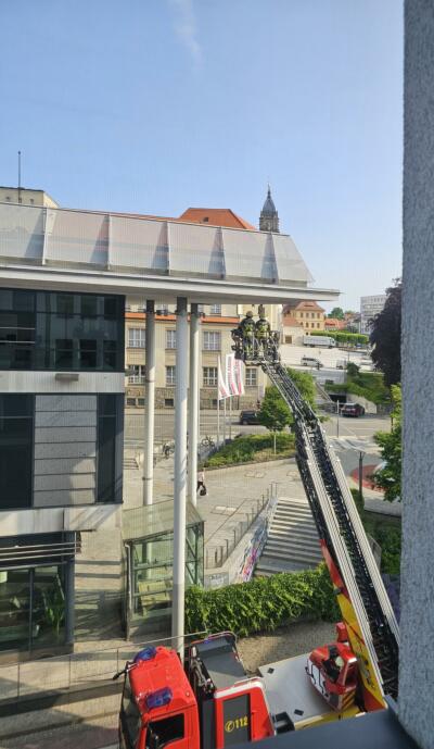 Schwalbenrettung bald bei DMAX
