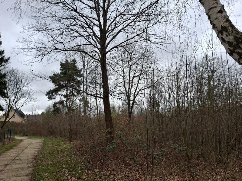 Was aus der Landbau-Brache werden soll