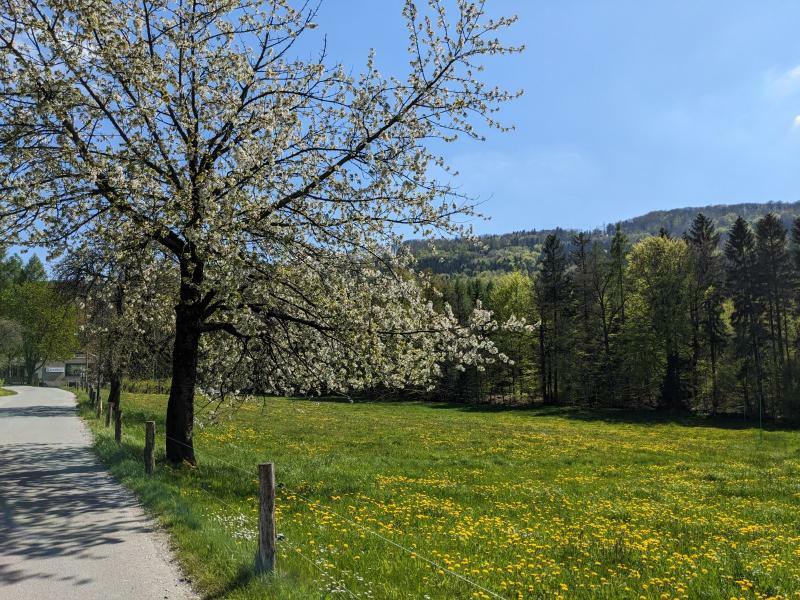 Zu Himmelfahrt ins Valtental bei Neukirch