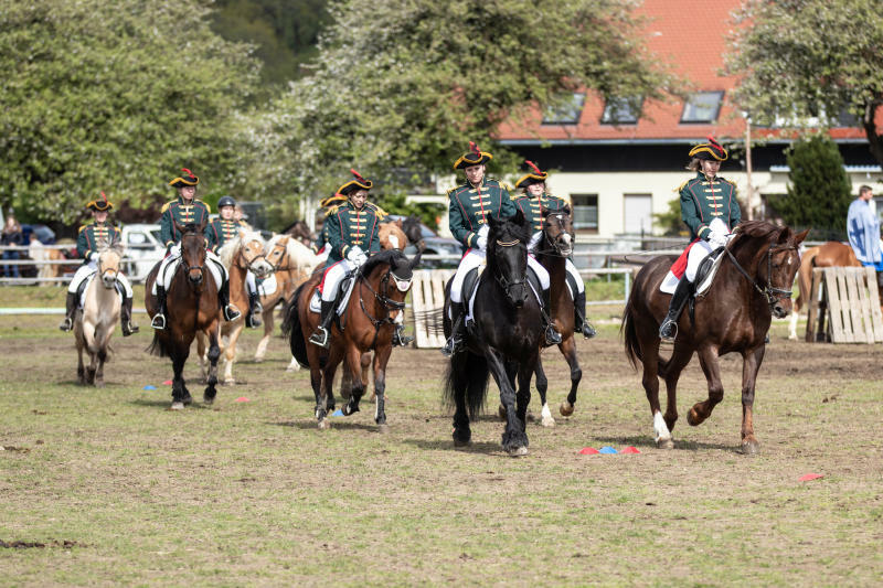 Saisonauftakt beim RFV Pulsnitz am 7. Mai