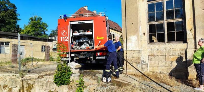 Kamelienrettung dank Königsbrücker Feuerwehr 
