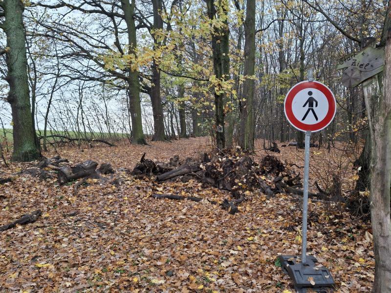 Reitweg in Bischofswerda wurde aufgehoben
