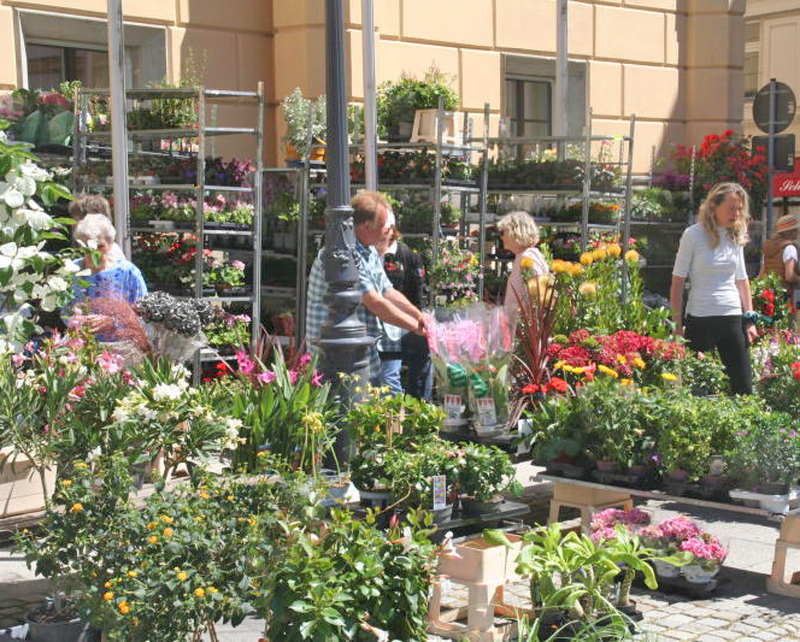 Zittauer Sommermarkt feiert Premiere