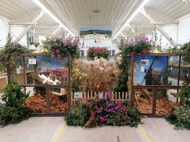 Geflügelschau in Sohland am Rotstein