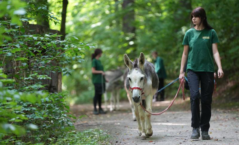Sommerfest im Zittauer Tierpark