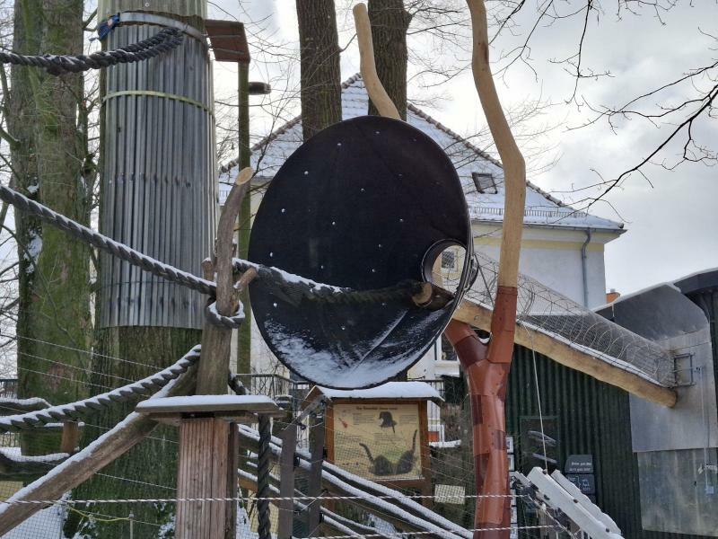 Ein Trichter für  die Nasenbären