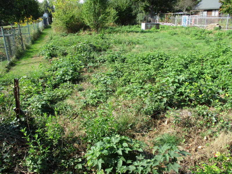 Ein Garten für alle