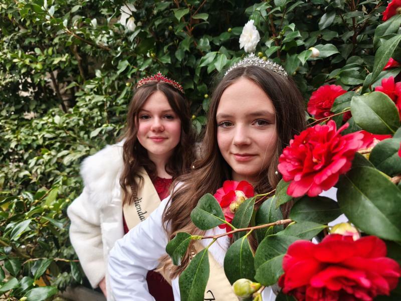 Die Kamelienblüte geht wieder los!