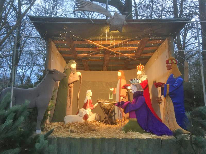 Weihnachtsbaum für die Tiere im Zittauer Tierpark