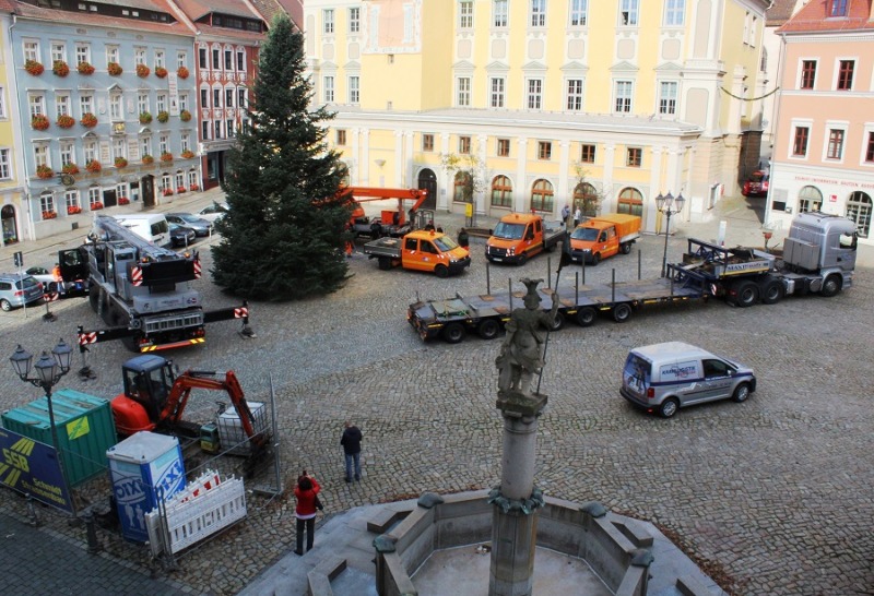 Bautzens Weihnachtsbaum steht